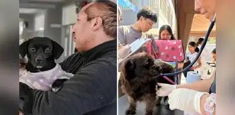 ¿Tienes mascotas? Municipalidad de Lima ofrecerá consultas y desparasitación gratis este 22 de septiembre: conoce lugar y hora de la campaña gratuita ¿Tienes mascotas? Municipalidad de Lima ofrecerá consultas y desparasitación gratis este 22 de septiembre: conoce lugar y hora de la campaña gratuita