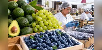 Agroexportaciones peruanas rozan los US$7.000 millones: cinco productos concentran casi la mitad de los envíos Agroexportaciones peruanas rozan los US$7.000 millones: cinco productos concentran casi la mitad de los envíos