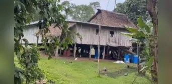 Se fueron de la ciudad hace 30 años y construyeron una vida en la Amazonía: cultivan sus alimentos y crían animales para sostener a su familia Se fueron de la ciudad hace 30 años y construyeron una vida en la Amazonía: cultivan sus alimentos y crían animales para sostener a su familia