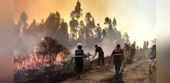 Fenómeno El Niño podría ampliar a seis meses la temporada de incendios forestales en Perú