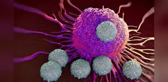 Científicos logran desaparecer el cáncer metastásico de un niño de 3 años tras dos dosis de terapia experimental