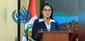 Relatores de la ONU expresan preocupación por riesgos para el ambiente y derechos humanos en el pedido de facultades
