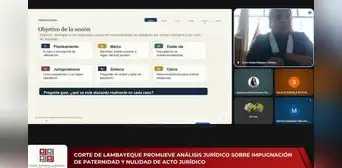 Corte de Lambayeque analiza diferencias entre impugnación de paternidad y nulidad de acto jurídico