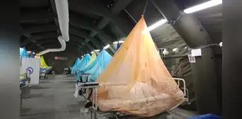 Dengue en alerta: La Libertad y Piura acumulan más de 17.000 casos y 10 fallecidos Dengue en alerta: La Libertad y Piura acumulan más de 17.000 casos y 10 fallecidos