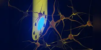Científicos crean un implante cerebral multifuncional y del grosor de una aguja capaz de realizar 3 funciones a la vez