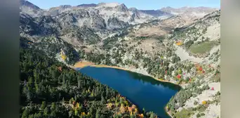 Científicos eliminaron a peces invasores de 2 lagos montañeses de España: en tan solo 10 meses los anfibios e invertebrados regresaron Científicos eliminaron a peces invasores de 2 lagos montañeses de España: en tan solo 10 meses los anfibios e invertebrados regresaron