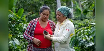 Productores de café, cacao y palma listos para exportar a Europa con “cero deforestación”
