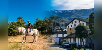 Buscan 2 voluntarios para vivir gratis en un pueblo de España sin requisito de idioma: cuidarían un jardín durante 3 horas al día Buscan 2 voluntarios para vivir gratis en un pueblo de España sin requisito de idioma: cuidarían un jardín durante 3 horas al día