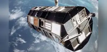 La NASA envió 132.000 semillas de tomate al espacio en 1984: seis años después los científicos descubrieron algo inesperado