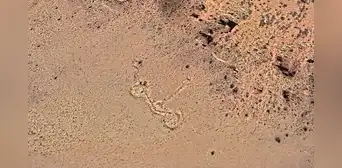 Un posible geoglifo detectado con Google Earth en los Andes intriga a arqueólogos: podría ser un centro ceremonial preincaico