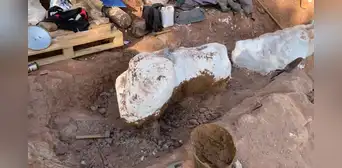 Un paleontólogo aficionado encontró el fósil casi completo de un titanosaurio de 10 metros de altura mientras paseaba con su perro