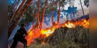 Alerta roja por incendios forestales en nueve regiones: riesgo se mantiene hasta el 5 de octubre