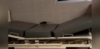 Rata pasea sobre camilla y se sube a jarra de agua usada por pacientes en área de dengue de hospital EsSalud en Piura
