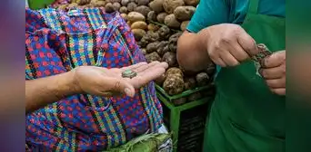 Inflación en Lima llega a 4,55% anual y supera ampliamente el registro de años anteriores Inflación en Lima llega a 4,55% anual y supera ampliamente el registro de años anteriores