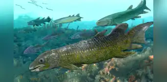 Unos fósiles de hace 325 millones de años revelarán los secretos de un antiguo fondo marino oculto en las profundidades