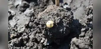 Arqueólogos desenterraron un tesoro de oro en 22.000 bolsas de artefactos antiguos durante un estudio para una autopista