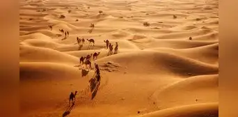 Este país está llevando agua del Atlántico hasta el desierto para transformar 5.200 hectáreas de terreno árido en grandes campos de cultivo