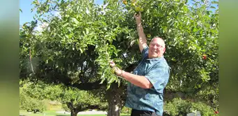 Un agente retirado del FBI comenzó a buscar manzanas “perdidas” y logró redescubrir 30 variedades olvidadas Un agente retirado del FBI comenzó a buscar manzanas “perdidas” y logró redescubrir 30 variedades olvidadas
