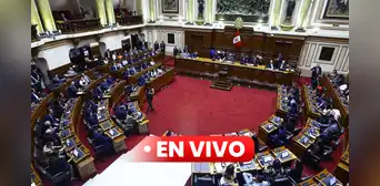 Pleno de la Cámara de Diputados EN VIVO: hoy se debate pedido de facultades legislativas al Ejecutivo Pleno de la Cámara de Diputados EN VIVO: hoy se debate pedido de facultades legislativas al Ejecutivo