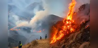 Cusco suma cerca de 280 incendios forestales y cinco fallecidos: seis emergencias todavía siguen activas Cusco suma cerca de 280 incendios forestales y cinco fallecidos: seis emergencias todavía siguen activas