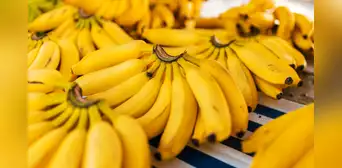 Ni en el refrigerador ni en el frutero: este es el lugar donde deben guardarse los plátanos para que no se oscurezcan tan rápido