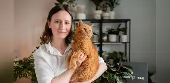 La psicología revela por qué algunas personas prefieren vivir con gatos: buscan compañía sin tener que estar rodeadas de gente La psicología revela por qué algunas personas prefieren vivir con gatos: buscan compañía sin tener que estar rodeadas de gente