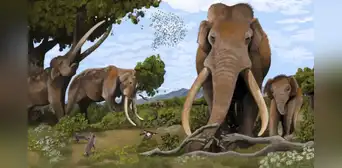 Un diente de elefante de 700.000 años de antigüedad revela un ecosistema perdido que compartieron los primeros humanos