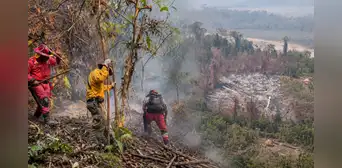 Río Tambo en emergencia por incendio forestal que arrasa bosques, cultivos y viviendas: municipio pide apoyo urgente
