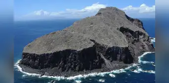 Eliminaron 6.000 ratas y 60 cabras de una isla donde solo quedaba un árbol: sin plantar nada la vegetación aumentó un 2.000% Eliminaron 6.000 ratas y 60 cabras de una isla donde solo quedaba un árbol: sin plantar nada la vegetación aumentó un 2.000%