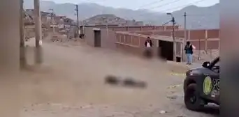 Joven es asesinado un día antes de cumplir 24 años en Ventanilla: fue hallado en un descampado Joven es asesinado un día antes de cumplir 24 años en Ventanilla: fue hallado en un descampado