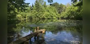 Una pareja de Nueva Jersey protegió su finca de 90 acres durante más de 40 años: ahora es una reserva pública gratuita con un árbol de 201 años Una pareja de Nueva Jersey protegió su finca de 90 acres durante más de 40 años: ahora es una reserva pública gratuita con un árbol de 201 años