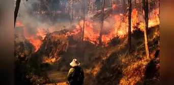 59 incendios forestales activos en todo el Perú: comunidades pierden cultivos, viviendas y ganado 59 incendios forestales activos en todo el Perú: comunidades pierden cultivos, viviendas y ganado