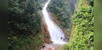 Ucayali impulsa plan de conservación para proteger la biodiversidad del área Velo de la Novia Ucayali impulsa plan de conservación para proteger la biodiversidad del área Velo de la Novia