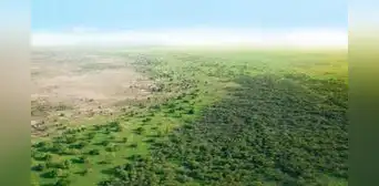 África quiere crear su propio Amazonas con una inversión de US$33.000 millones: se usará 100 millones de hectáreas para detener la desertificación África quiere crear su propio Amazonas con una inversión de US$33.000 millones: se usará 100 millones de hectáreas para detener la desertificación