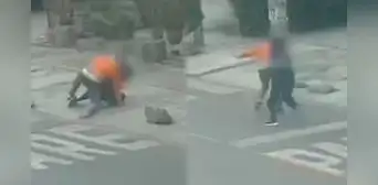 Estudiante persigue a delincuente y recupera su celular tras forcejeo en San Juan de Miraflores Estudiante persigue a delincuente y recupera su celular tras forcejeo en San Juan de Miraflores