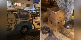 Denuncian a veterinaria por dejar cuerpo de una perrita en parque de Surco: empresa culpa a trabajador Denuncian a veterinaria por dejar cuerpo de una perrita en parque de Surco: empresa culpa a trabajador