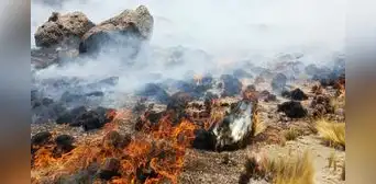Incendios forestales en Puno dejan dos fallecidos, 22 heridos y arrasan casi 30.000 hectáreas Incendios forestales en Puno dejan dos fallecidos, 22 heridos y arrasan casi 30.000 hectáreas