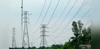 Colombia volverá a venderle electricidad a Ecuador, según Daniel Noboa: "Los países hermanos se respaldan" Colombia volverá a venderle electricidad a Ecuador, según Daniel Noboa: "Los países hermanos se respaldan"