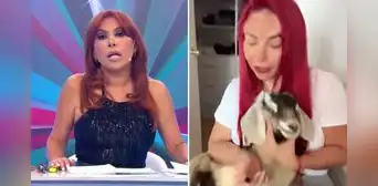 Magaly Medina queda impactada tras ver imágenes de Deysi Araujo con un cabrito y exige que las quiten de su programa: "Son chocantes" Magaly Medina queda impactada tras ver imágenes de Deysi Araujo con un cabrito y exige que las quiten de su programa: "Son chocantes"