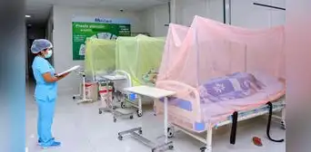 Dengue supera los 71.000 casos y suma 75 muertes en Perú ante la llegada de El Niño Dengue supera los 71.000 casos y suma 75 muertes en Perú ante la llegada de El Niño