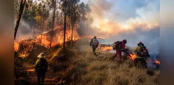 Incendios forestales dejan 12 fallecidos y más de 800 afectados en Perú: CNDDHH exige acciones urgentes Incendios forestales dejan 12 fallecidos y más de 800 afectados en Perú: CNDDHH exige acciones urgentes