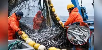 Produce autoriza pesca exploratoria de anchoveta blanca por 15 días ante el desarrollo de El Niño
