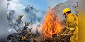 Superó todo el 2025 y van 224 siniestros: la ola de incendios forestales que amenaza la Cordillera Blanca, el Huascarán, el turismo y cultivos en Áncash Superó todo el 2025 y van 224 siniestros: la ola de incendios forestales que amenaza la Cordillera Blanca, el Huascarán, el turismo y cultivos en Áncash
