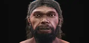Científicos reconstruyen el rostro del Homo sapiens más antiguo y resulta ser parecido al humano actual Científicos reconstruyen el rostro del Homo sapiens más antiguo y resulta ser parecido al humano actual