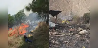 Tres personas son condenadas en Cusco por provocar incendios forestales que devastaron más de 23 hectáreas Tres personas son condenadas en Cusco por provocar incendios forestales que devastaron más de 23 hectáreas
