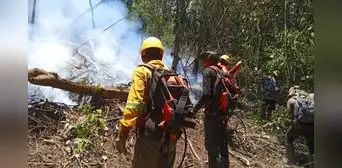 Perú enfrenta un El Niño fuerte y más incendios, pero sigue sin una política integral para prevenir el fuego Perú enfrenta un El Niño fuerte y más incendios, pero sigue sin una política integral para prevenir el fuego