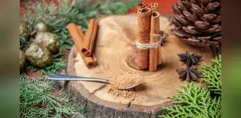 Los jardineros recomiendan echar canela en la tierra de las plantas: para qué sirve y qué beneficios puede aportar Los jardineros recomiendan echar canela en la tierra de las plantas: para qué sirve y qué beneficios puede aportar