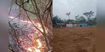 “Lo han perdido todo”: comunidades piden ayuda al Gobierno tras incendios forestales que arrasaron sus cultivos