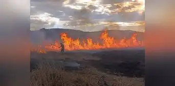 Incendios forestales: Las consecuencias y la desatención
