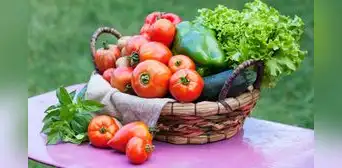 Los expertos en nutrición recomiendan este desayuno después de los 50 años para cuidar el azúcar en sangre y empezar el día con energía Los expertos en nutrición recomiendan este desayuno después de los 50 años para cuidar el azúcar en sangre y empezar el día con energía